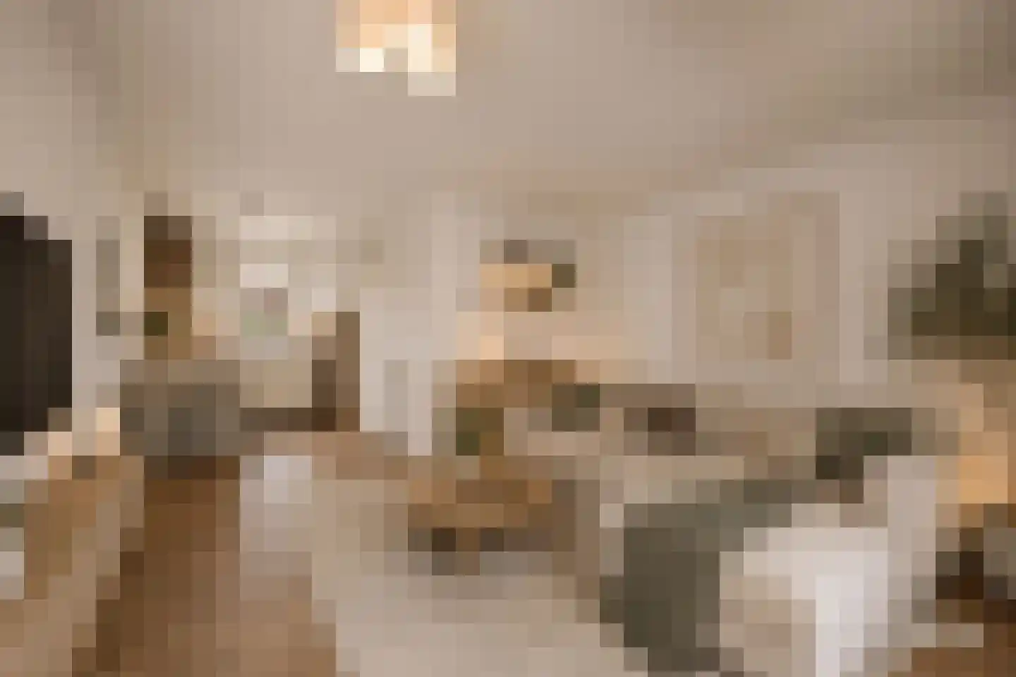 Morgenstond 16 Hooge Zwaluwe thumbnail 7