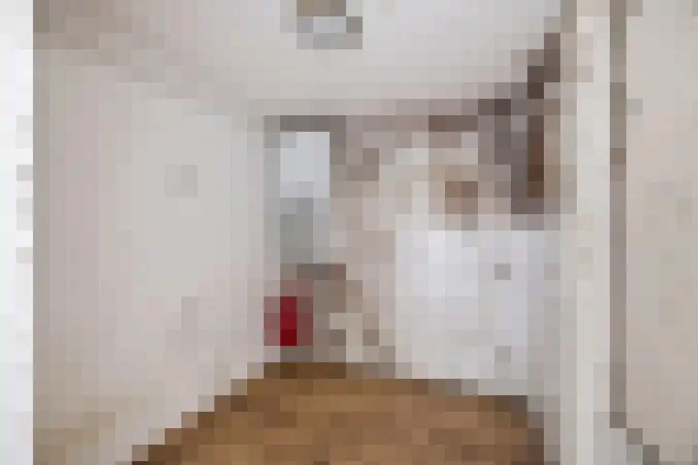 Morgenstond 16 Hooge Zwaluwe thumbnail 9