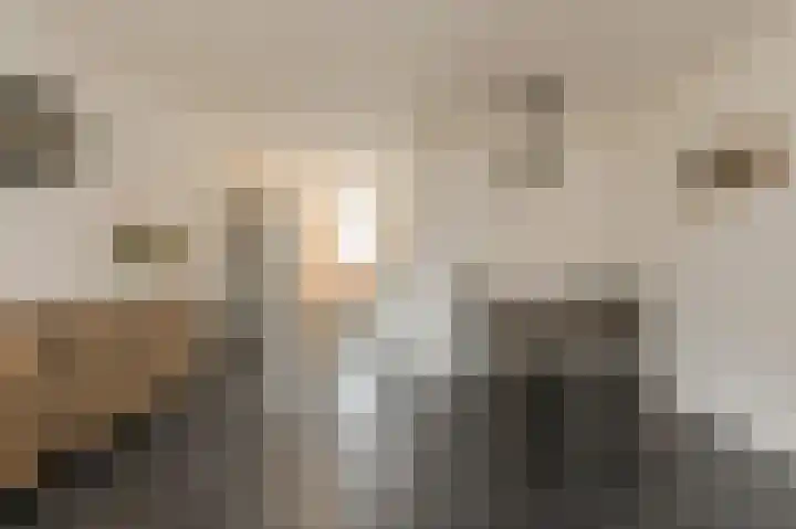 Morgenstond 20 Hooge Zwaluwe thumbnail 12