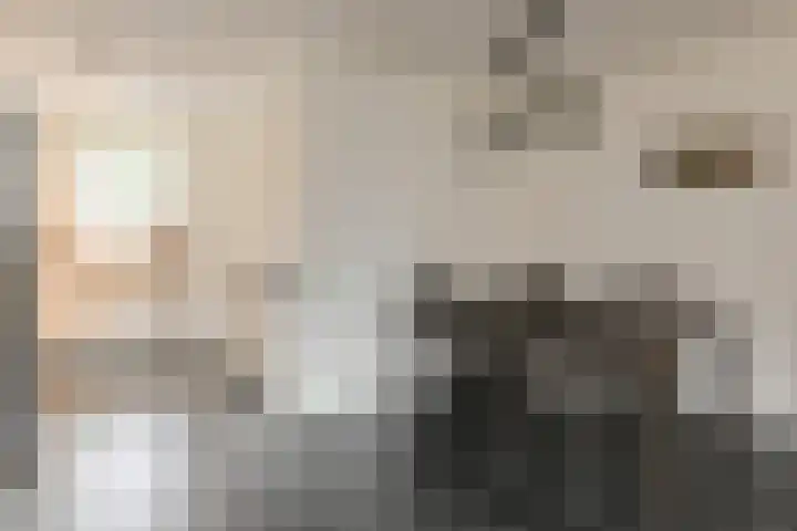 Morgenstond 20 Hooge Zwaluwe thumbnail 13