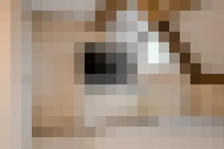 Morgenstond 20 Hooge Zwaluwe thumbnail 27