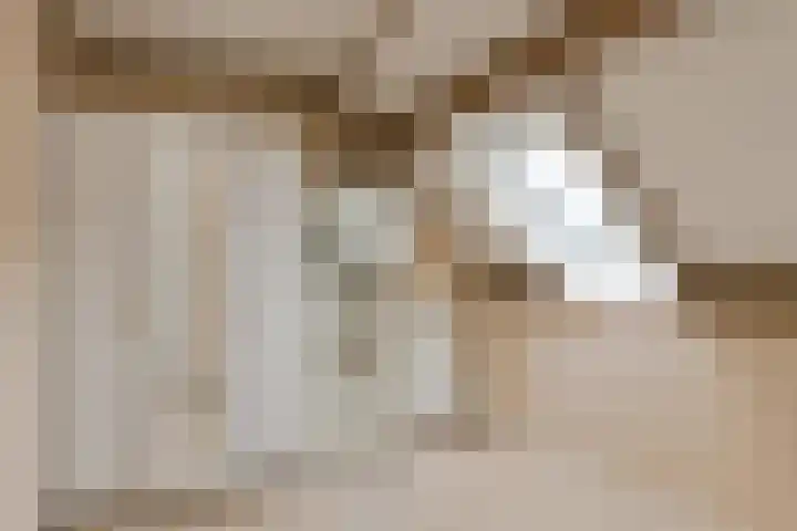 Morgenstond 20 Hooge Zwaluwe thumbnail 28