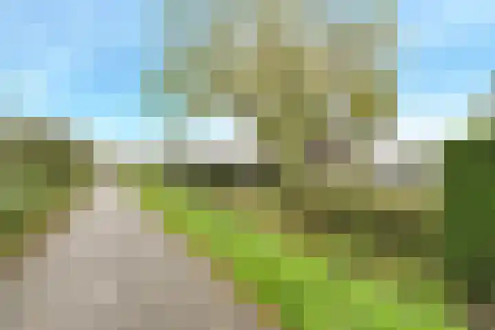 Morgenstond 20 Hooge Zwaluwe thumbnail 31