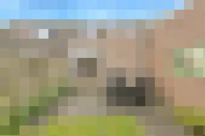 Morgenstond 20 Hooge Zwaluwe thumbnail 32
