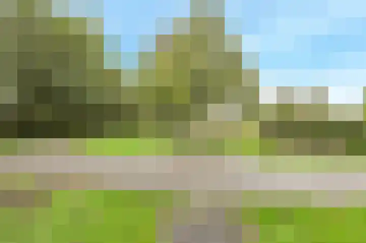Morgenstond 20 Hooge Zwaluwe thumbnail 4