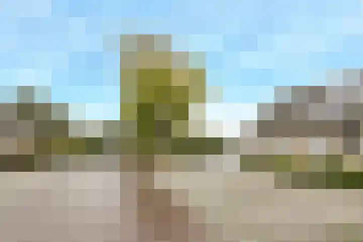 Morgenstond 20 Hooge Zwaluwe thumbnail 5