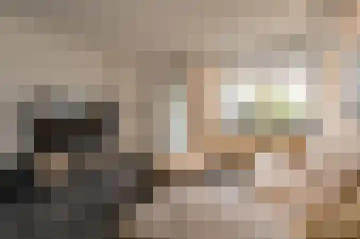 Morgenstond 20 Hooge Zwaluwe thumbnail 8