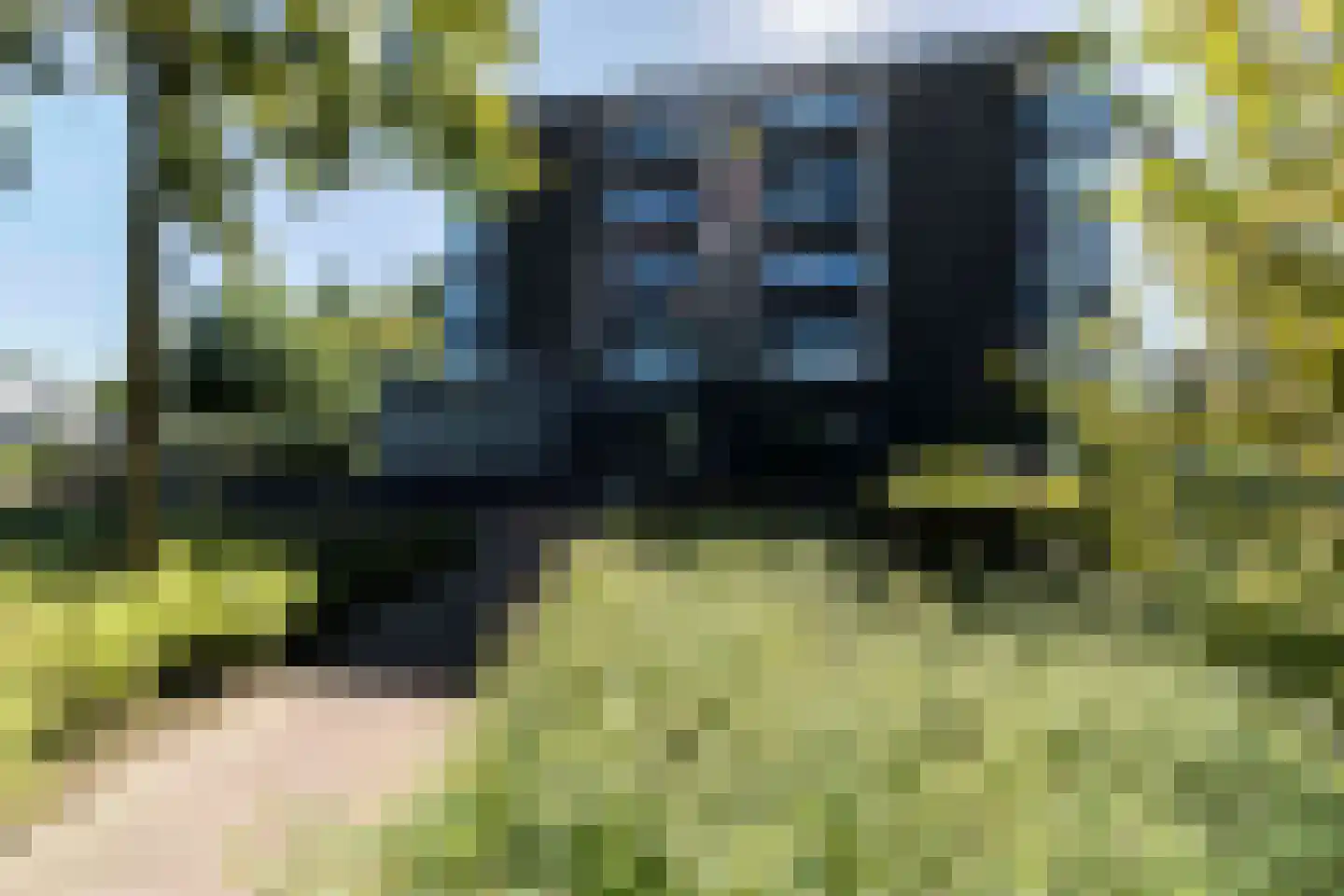 Morgenstond 23 Boxtel thumbnail 10