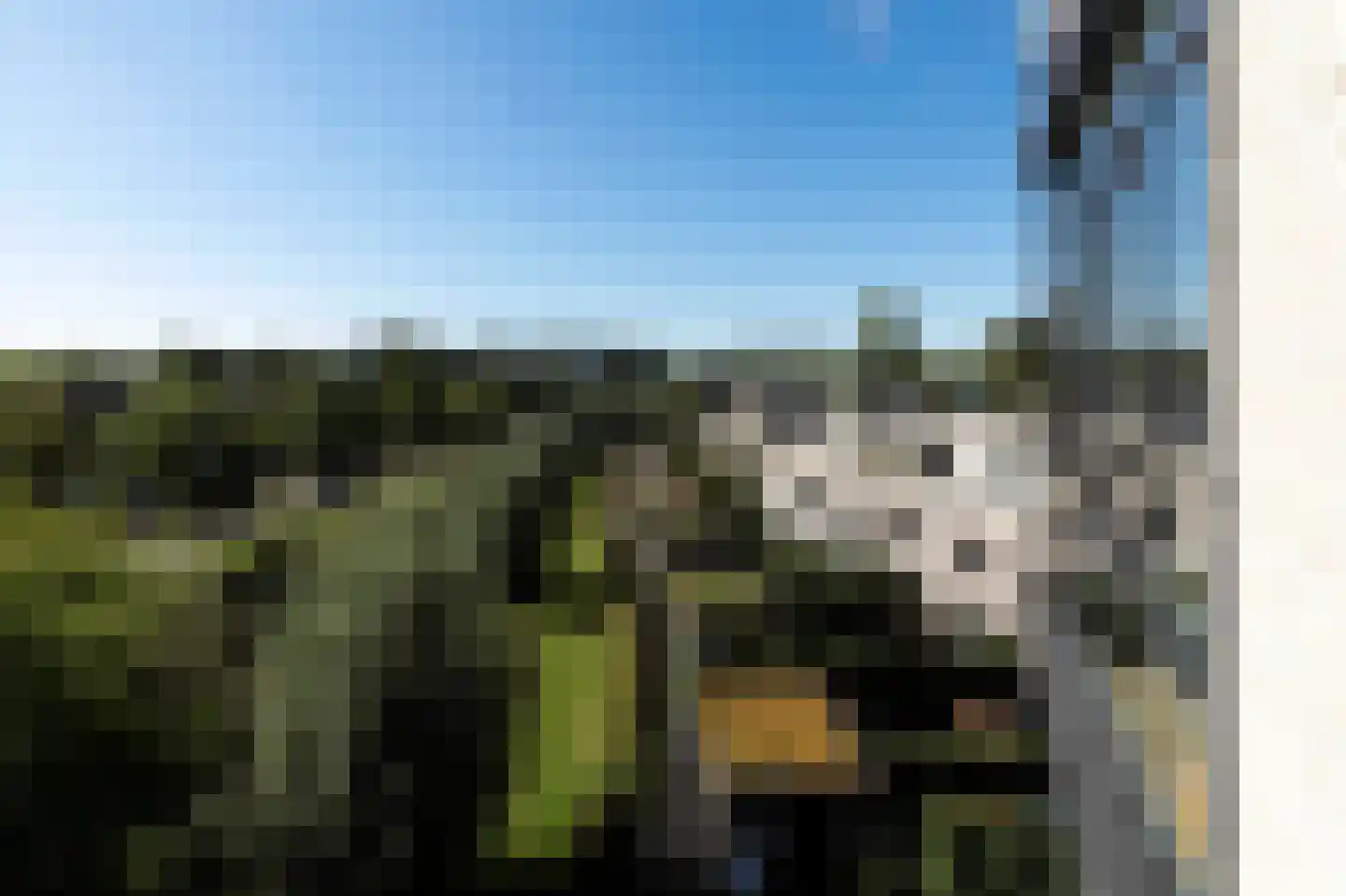 Morgenstond 23 Boxtel thumbnail 28