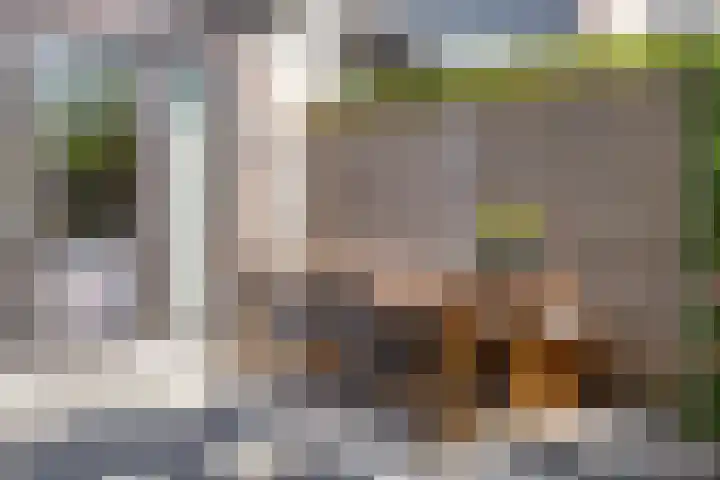 Morgenstond 43 Boxtel thumbnail 34