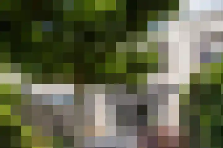 Morgenstond 43 Boxtel thumbnail 36