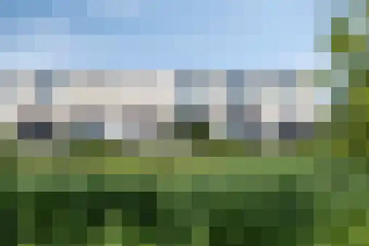 Morgenstond 43 Boxtel thumbnail 40