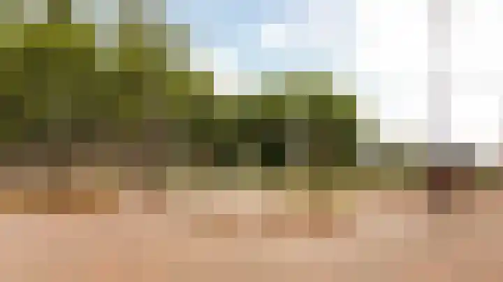 Morgenstond 43 De Meern thumbnail 45