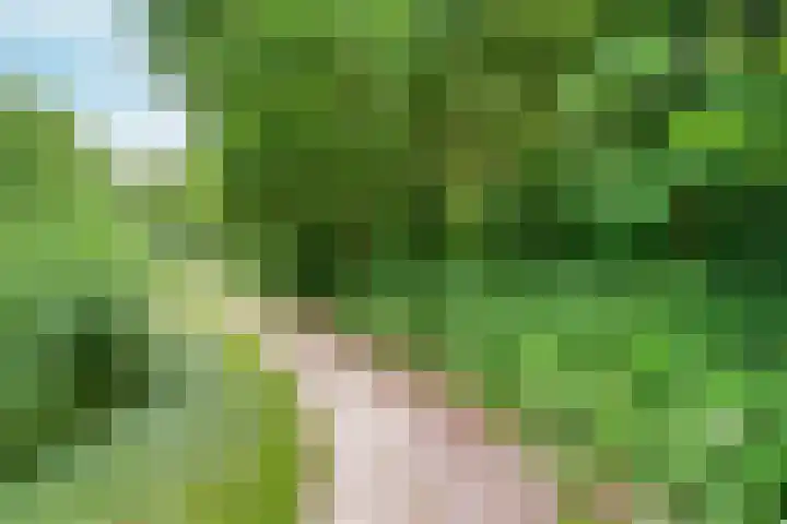 Morgenstond 43 De Meern thumbnail 48