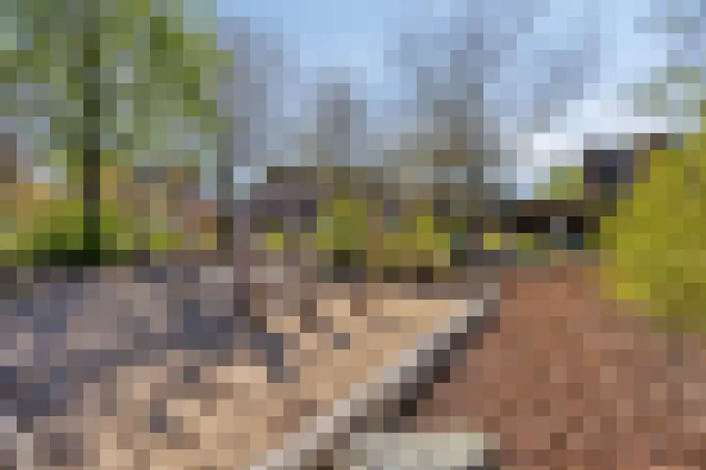 Morgenstond 73 Boxtel thumbnail 30