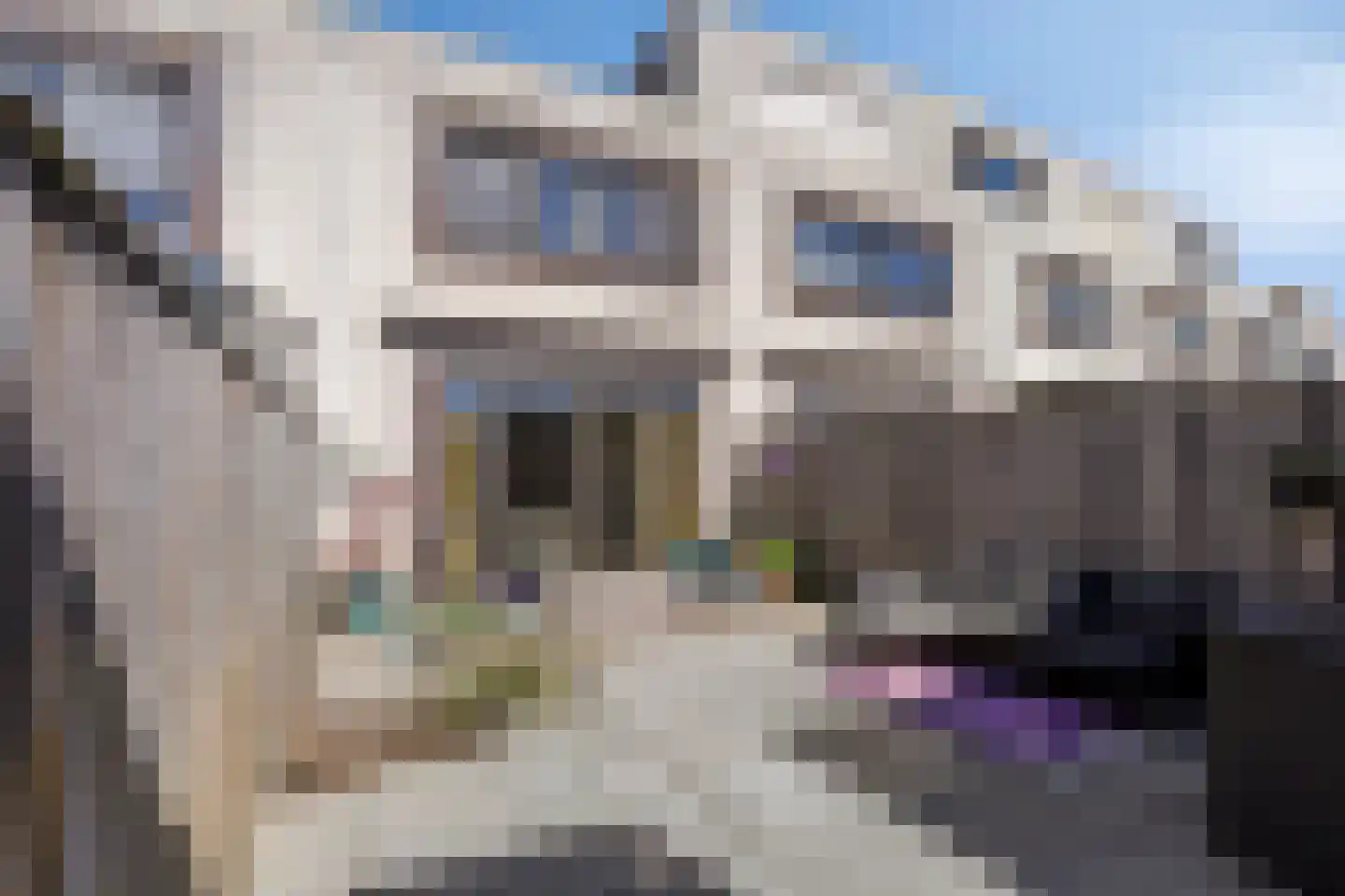 Morgenstond 73 Boxtel thumbnail 4