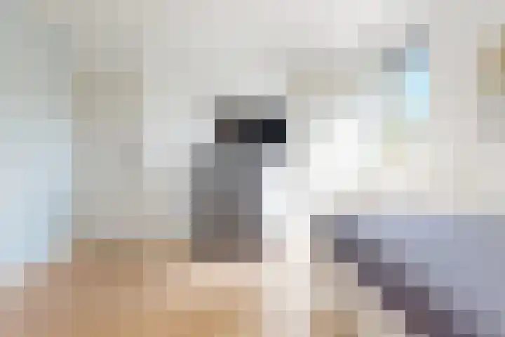 Morgenstond 8 De Meern thumbnail 19
