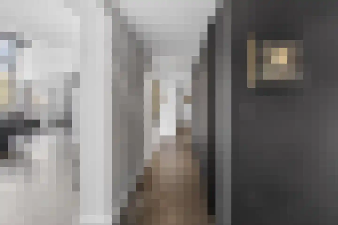 Morgenstond 8 De Meern thumbnail 21