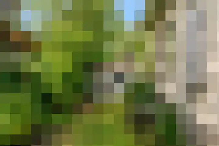 Morgenstond 8 De Meern thumbnail 39