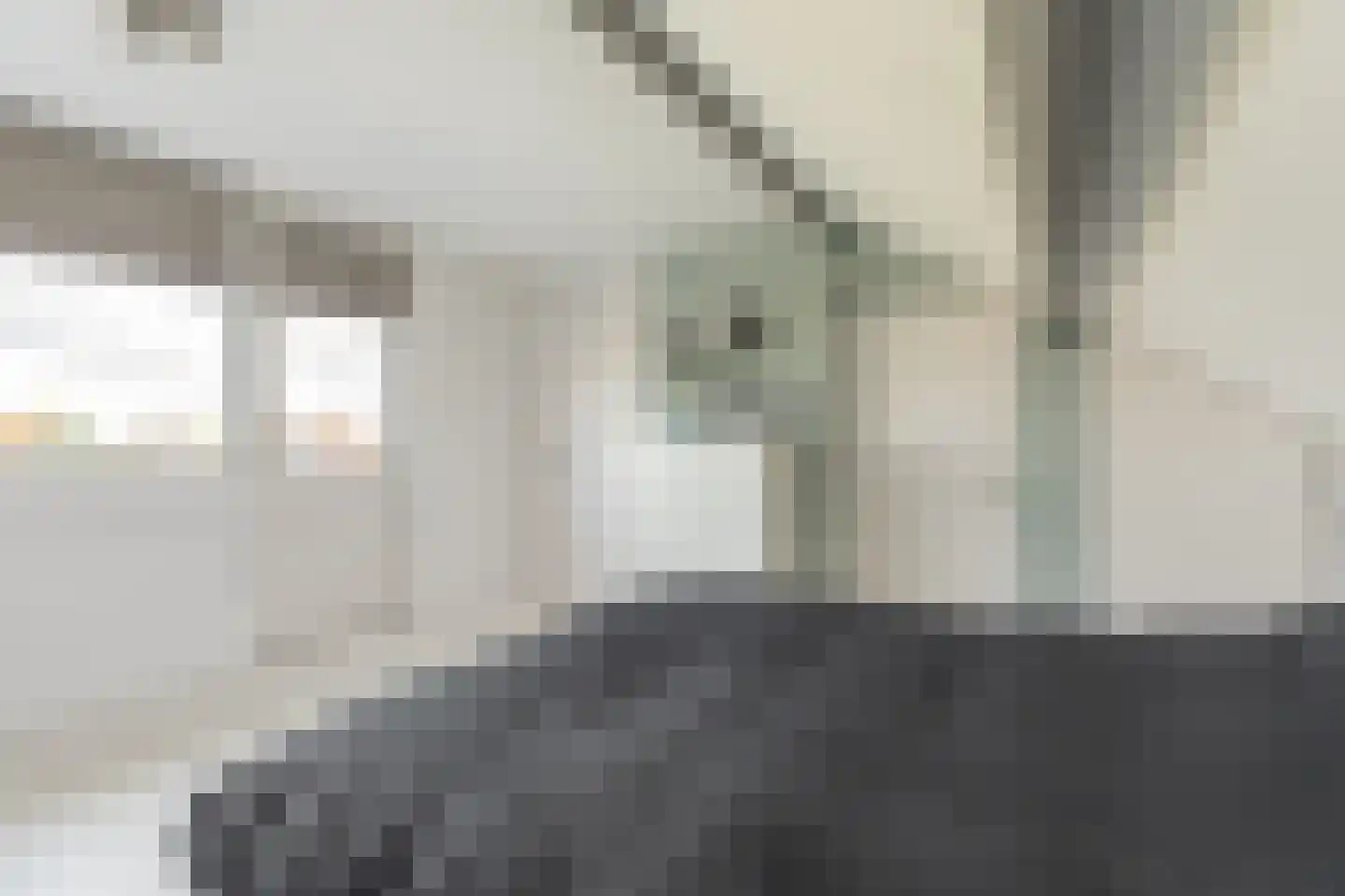 Morgenstraat 12 De Rijp thumbnail 37