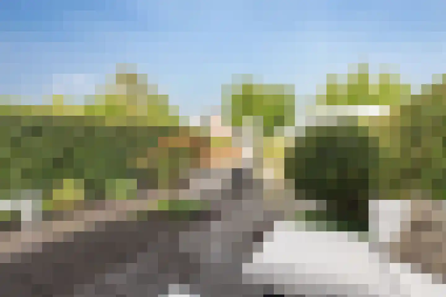 Morgenstraat 12 De Rijp thumbnail 40