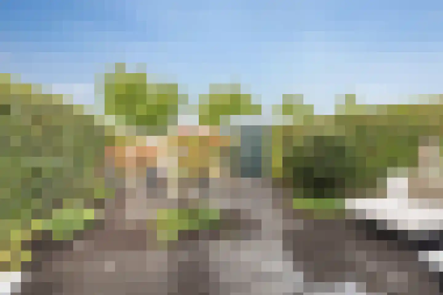 Morgenstraat 12 De Rijp thumbnail 41