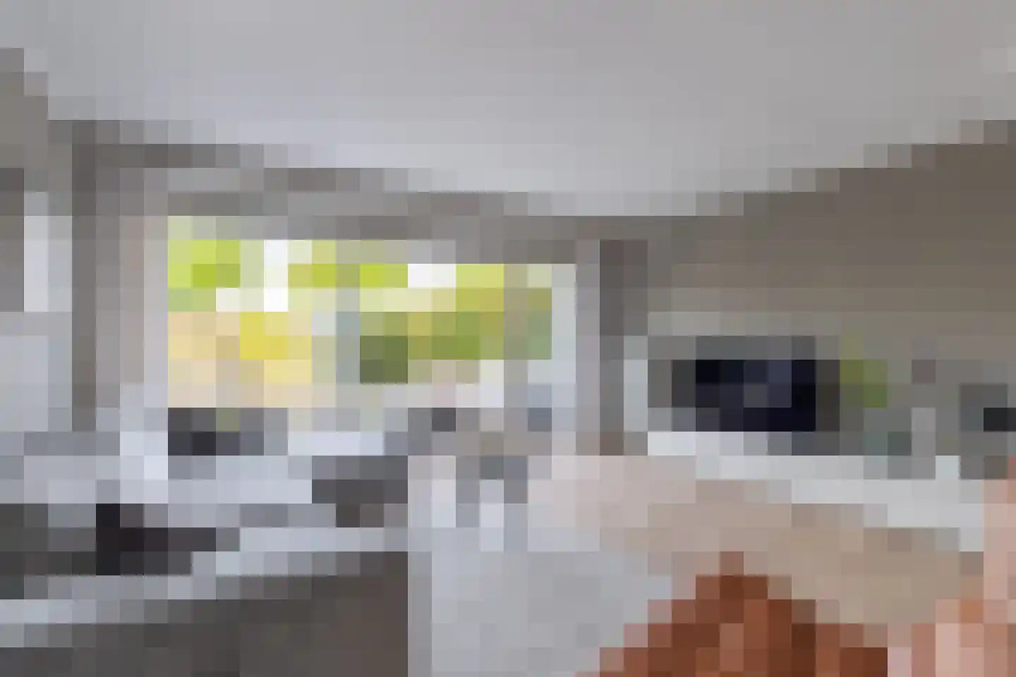 Morgenstraat 12 De Rijp thumbnail 5