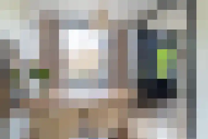 Morgenstraat 12 Zuilichem thumbnail 11