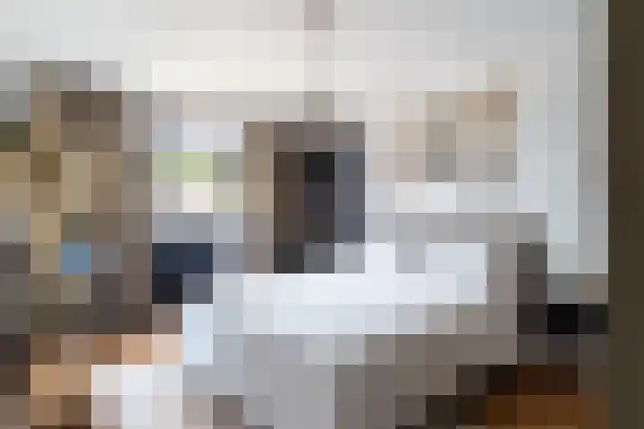 Morgenstraat 12 Zuilichem thumbnail 17