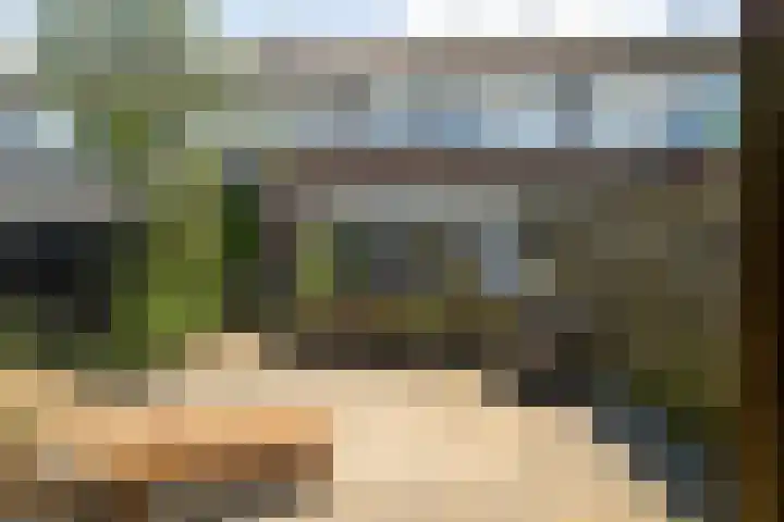 Morgenstraat 12 Zuilichem thumbnail 30