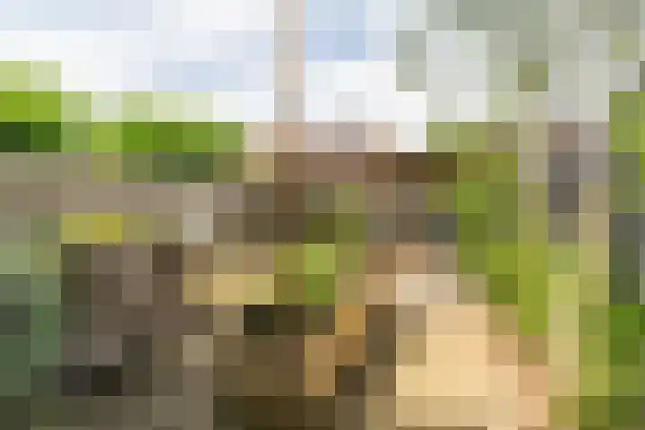 Morgenstraat 12 Zuilichem thumbnail 31