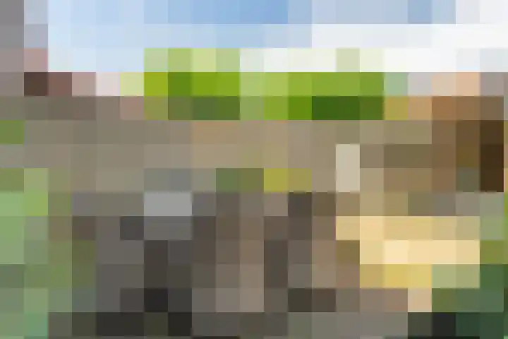 Morgenstraat 12 Zuilichem thumbnail 32