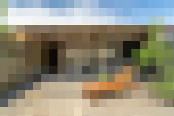 Morgenstraat 12 Zuilichem thumbnail 33