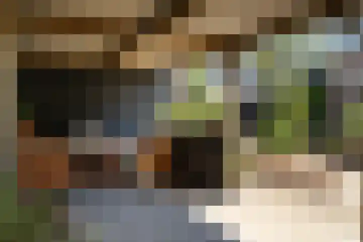 Morgenstraat 12 Zuilichem thumbnail 34