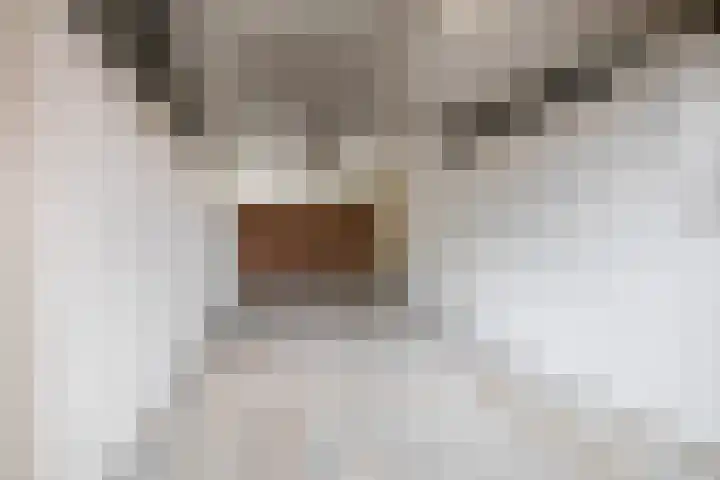 Morgenstraat 23 De Rijp thumbnail 18