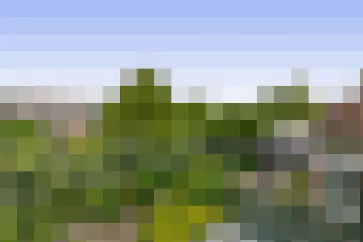 Morgenstraat 23 De Rijp thumbnail 23