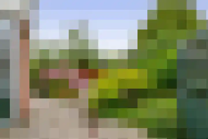 Morgenstraat 23 De Rijp thumbnail 35