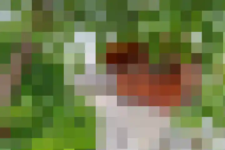 Morgenstraat 23 De Rijp thumbnail 37