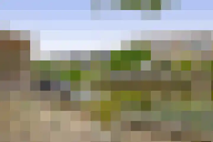Morgenstraat 23 De Rijp thumbnail 38