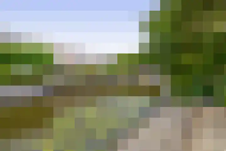 Morgenstraat 23 De Rijp thumbnail 4