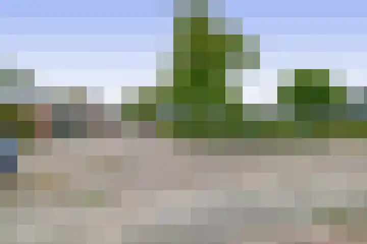 Morgenstraat 23 De Rijp thumbnail 40