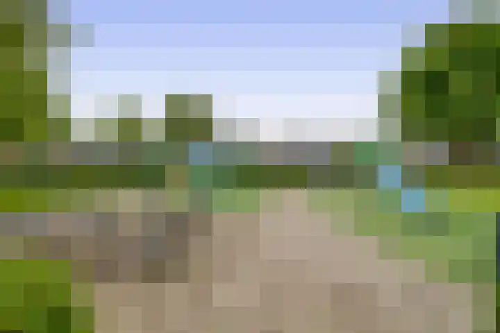 Morgenstraat 23 De Rijp thumbnail 41