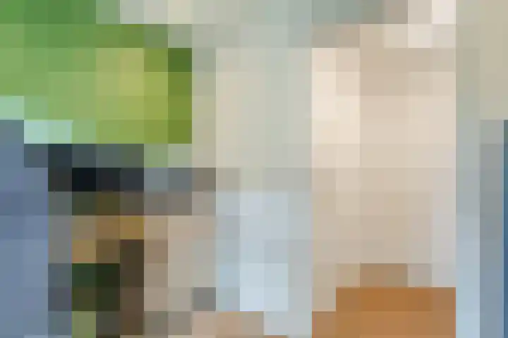 Morgenstraat 28 Erp thumbnail 16