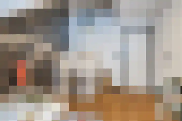 Morgenstraat 28 Erp thumbnail 20