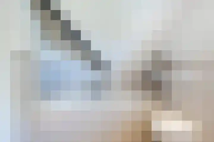 Morgenstraat 28 Erp thumbnail 26