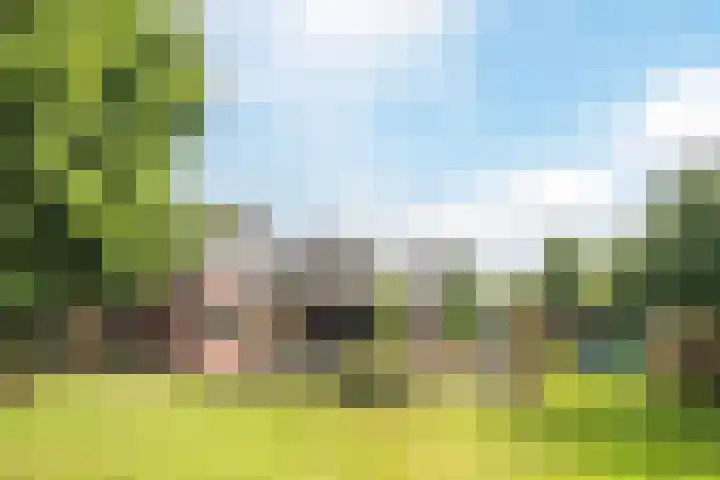 Morgenstraat 28 Erp thumbnail 29