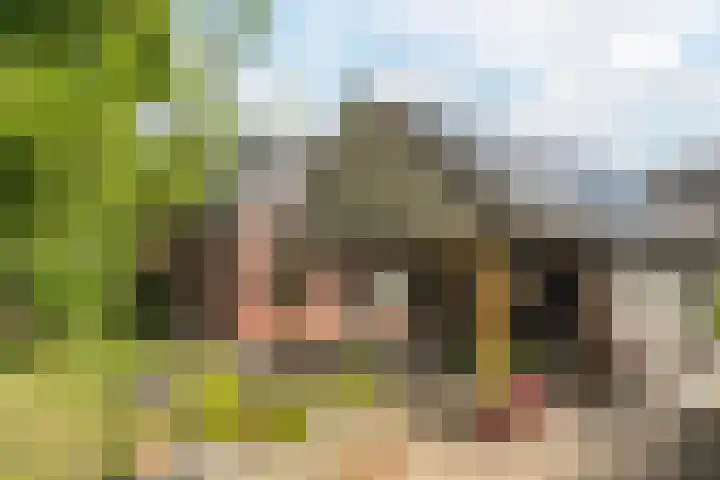 Morgenstraat 28 Erp thumbnail 30