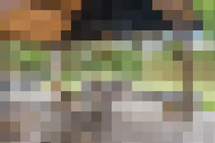 Morgenstraat 28 Erp thumbnail 32