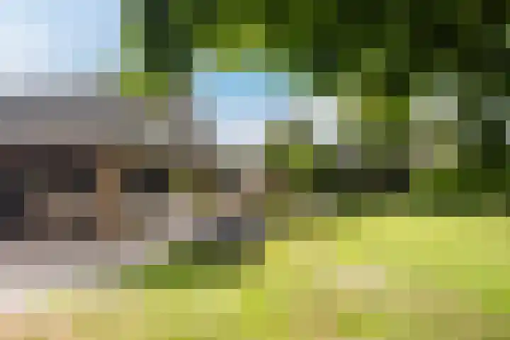 Morgenstraat 28 Erp thumbnail 33
