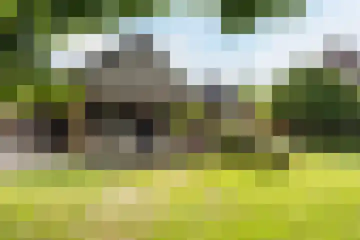 Morgenstraat 28 Erp thumbnail 34